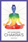 Het kleine boek chakra's - Ellen Ricks - 9789036648806