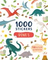 Dino's - 1000 stickers - Claire Sipi - 9789036650625