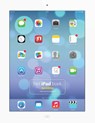 Het iPad boek, - Pieter van Groenewoud - 9789043031592