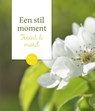 Troost & moed - Arthur van Essen ; Piet van der Schoof - 9789043527668