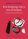 Een knipoog van u zou al helpen - Karel Eykman ; Ceseli Josephus Jitta - 9789043534420