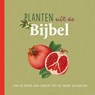 Planten uit de Bijbel - Judith Dinsmore - 9789043534604