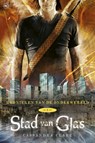 Kronieken van de onderwereld  3 Stad van Glas - Cassandra Clare - 9789044329131