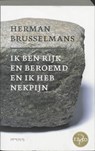 Ik ben rijk en beroemd en ik heb nekpijn - Herman Brusselmans - 9789044619485