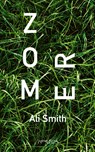 Zomer - Ali Smith - 9789044645002