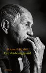 Een driebenig paard - Bohumil Hrabal - 9789044655315