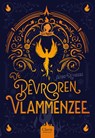 De bevroren vlammenzee - Astrid Reynders - 9789044856910