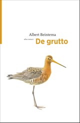 De grutto, Albert Beintema -  - 9789045029450