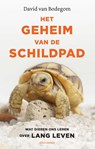 Het geheim van de schildpad - David van Bodegom - 9789045038933