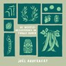 De wereldgeschiedenis in twaalf bonen - Joël Broekaert - 9789045050263