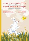Het raadsel van het denkende konijn en andere verhalen - Clarice Lispector - 9789045123615