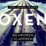 Bevroren vlammen - Jens Henrik Jensen - 9789046170953