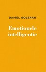 Emotionele intelligentie - Daniël Goleman - 9789047017264