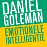 Emotionele intelligentie - Daniël Goleman - 9789047019145