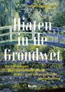 Hiaten in de Grondwet - Joyce Sylvester - 9789047302643