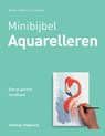 Aquarelleren - Wendy Jelbert ; Ian Sidaway - 9789048313808