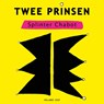 Twee Prinsen - Splinter Chabot - 9789048876594