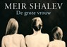 De grote vrouw - SHALEV, Meir - 9789049800567