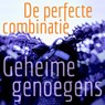 De perfecte combinatie - Lonnie Barbach - 9789049802882