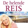 De helende reis - Brandon Bays - 9789052860428