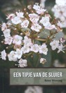 Een tipje van de sluier - Betsy Weening - 9789052945996