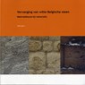 Vervanging van witte Belgische steen - W.J. Quist - 9789053353714
