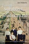 Tussen Surabaya en Stadskanaal - Jan Folkerts - 9789054524571