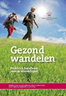 Gezond wandelen - Stef Blijboom ; Eric Bos ; Ed Hendriks ; Ben Heijnen - 9789054722373