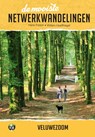 De mooiste netwerkwandelingen: Veluwezoom - Hans Farjon ; Willem Hoefnagel - 9789054725121