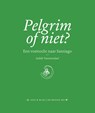 Een voettocht naar Santiago de Compostella - Judith Vanistendael - 9789054923466
