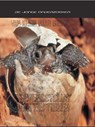 De levenscyclus van reptielen - Mike Unwin - 9789055660469