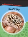 Hagedis - Deborah Chancellor - 9789055664047