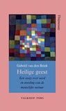 Heilige geest - Gabriel van den Brink - 9789056255060