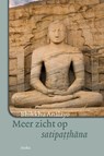 Meer zicht op satipatthana - Bhikkhu Analayo - 9789056703547