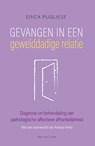 Gevangen in een gewelddadige relatie - Erica Pugliese - 9789057126192