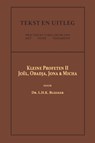 De Kleine Profeten II - Dr. L.H.K. Bleeker - 9789057196591