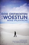 God ontmoeten in de woestijn - Mike Pilavachi - 9789058111258