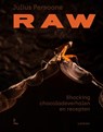 Raw - Julius Persoone - 9789059961302