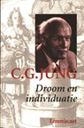 Droom en individuatie - C.G. Jung ; Pety de Vries-Ek - 9789060699751