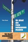 De plaat die rock volwassen maakte - Peter Bruyn - 9789062659517