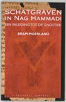Schatgraven in Nag Hammadi - MOERLAND, Bram - 9789062719228