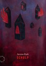 Schulp - Josse Kok - 9789063382018