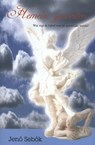Hemelse Gewesten - Jeno Sebök - 9789066591288