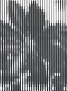 Karel Martens full color - Karel Martens ; David Senior - 9789077459980