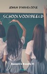 Schoolvoorbeeld - Johan D' HAVELOOSE - 9789078459972