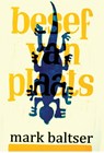 Besef van Plaats - Mark Baltser - 9789079418909