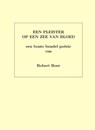 Een pleister op een zee van bloed - Robert Boer - 9789079418985