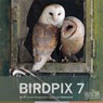 Birdpix 7 - Daan Schoonhoven - 9789079588046