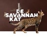 De Savannah kat - Cindy Schwering - 9789081133050