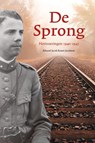 De sprong - Eduard Jacob Rosen Jacobson - 9789082164312